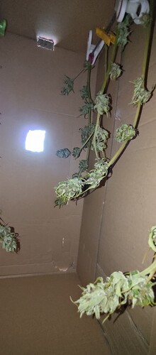 P_20230812_143121