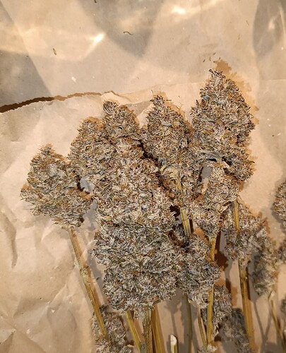 Growreport Bild 7