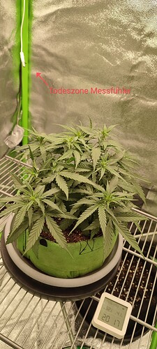 IMG_20230817_210444
