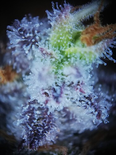 GG#2_240112-8