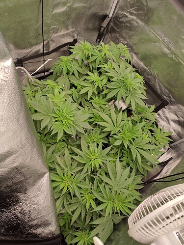 Growreport Bild 2