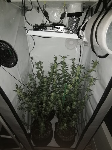 Growreport Bild 7