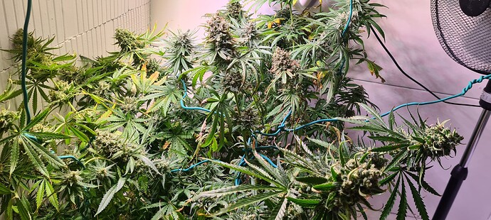 Growreport Bild 8