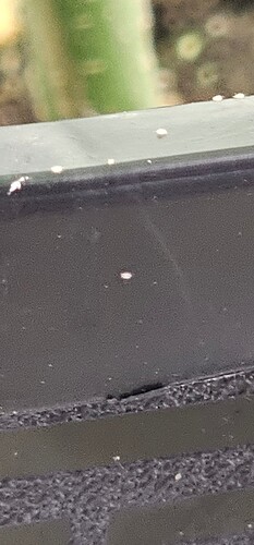 1000091956
