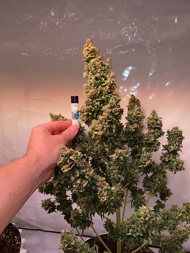 Growreport Bild 2