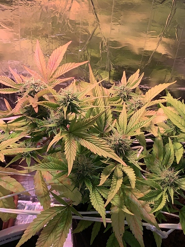 Growreport Bild 12