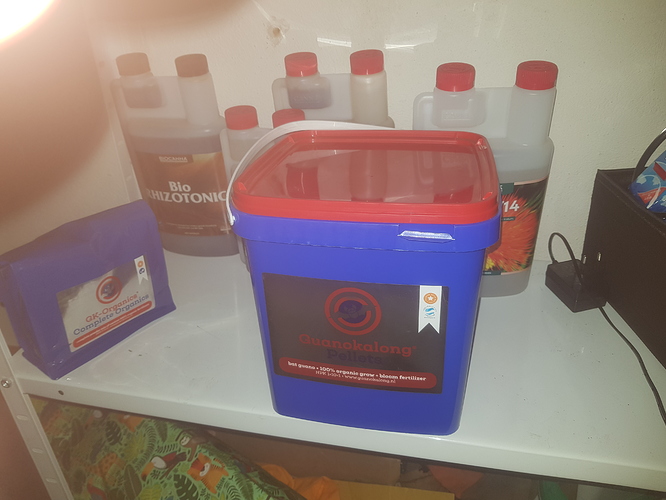 Growreport Bild 6