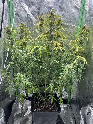 Growreport Bild 16