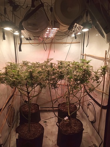 IMG_20210314_002255_598