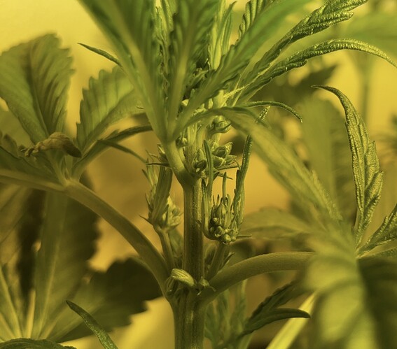 Growreport Bild 8