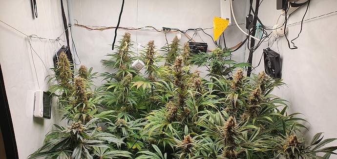 Growreport Bild 20