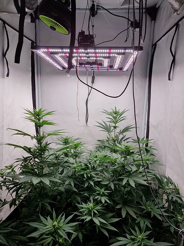 Growreport Bild 96