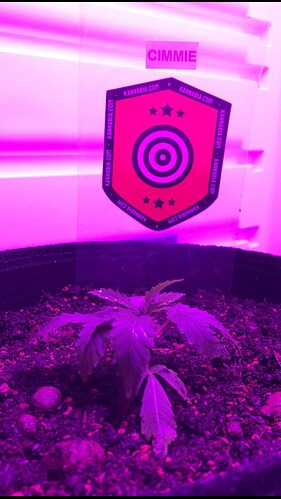 Growreport Bild 20