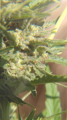 Growreport Bild 17