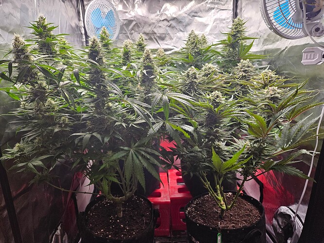 Growreport Bild 18