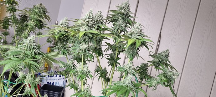 Growreport Bild 11