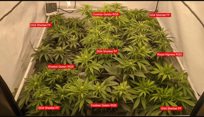 1-IMG_20231221_092551_985-jpg-4032×2268-