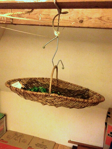 Growreport Bild 11