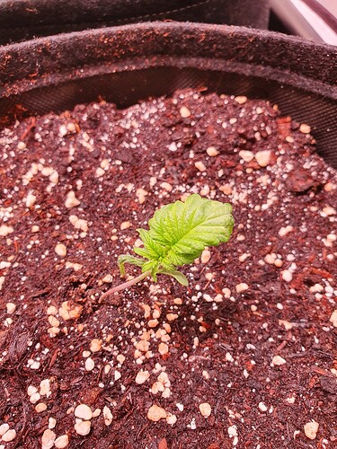 Growreport Bild 21