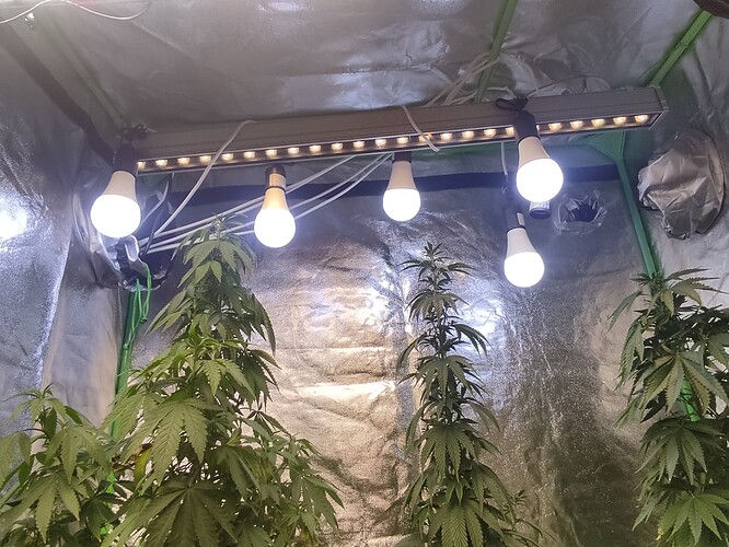 Growreport Bild 3