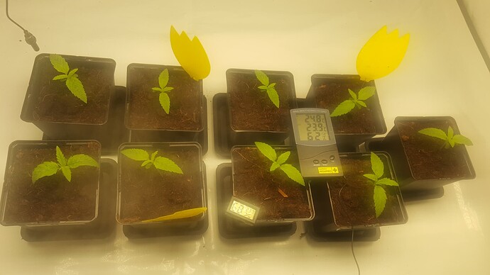 Growreport Bild 4