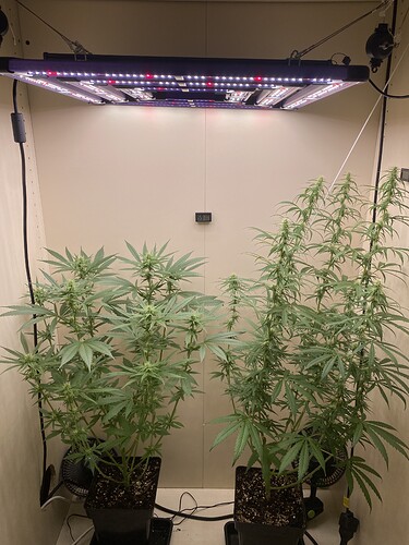 Growreport Bild 16