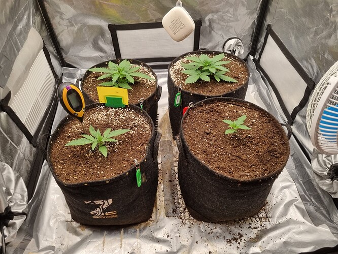 Growreport Bild 11