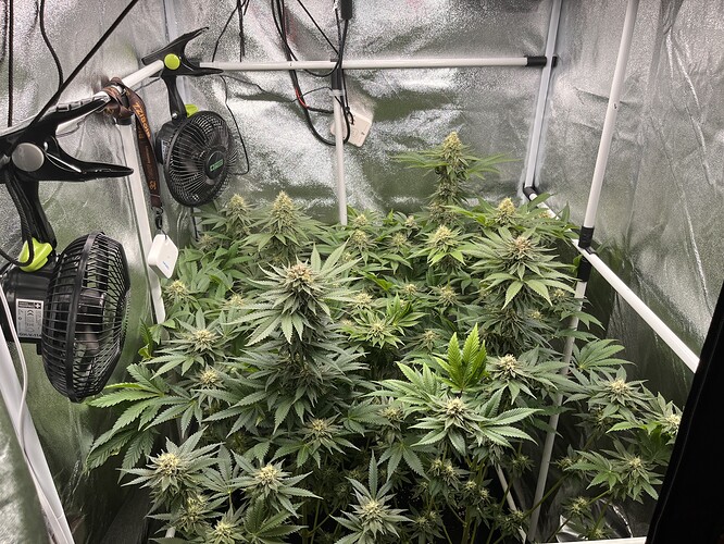 Growreport Bild 7