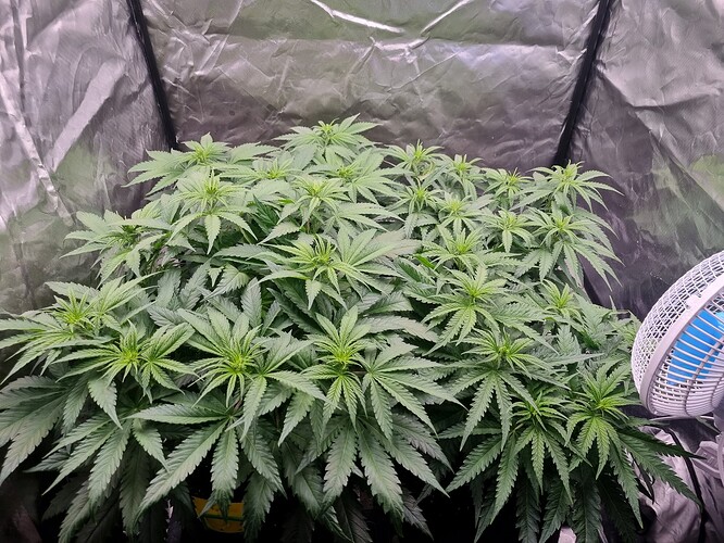 Growreport Bild 14
