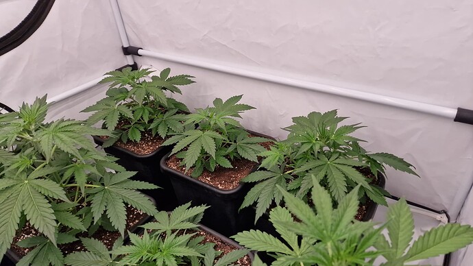 Growreport Bild 14