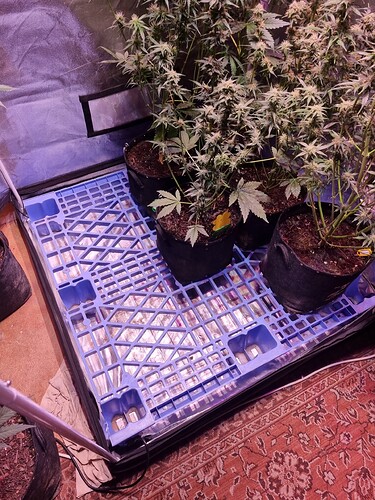 Growreport Bild 24