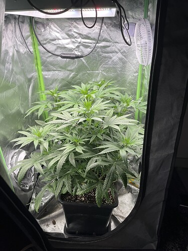 Growreport Bild 4