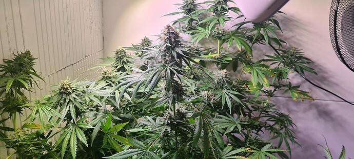 Growreport Bild 10