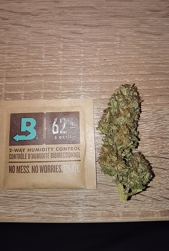 Growreport Bild 3