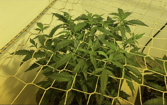 Growreport Bild 18