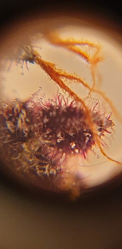 Growreport Bild 11