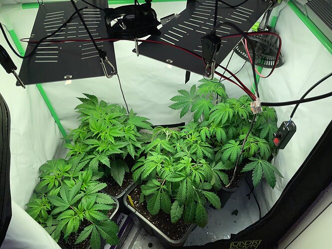 Growreport Bild 9