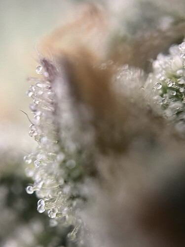 Growreport Bild 16