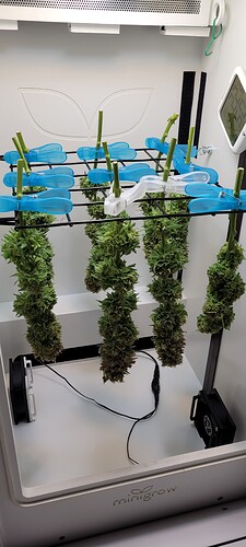 Growreport Bild 7