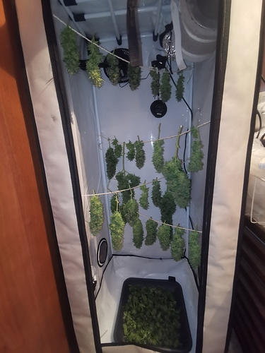 Growreport Bild 4