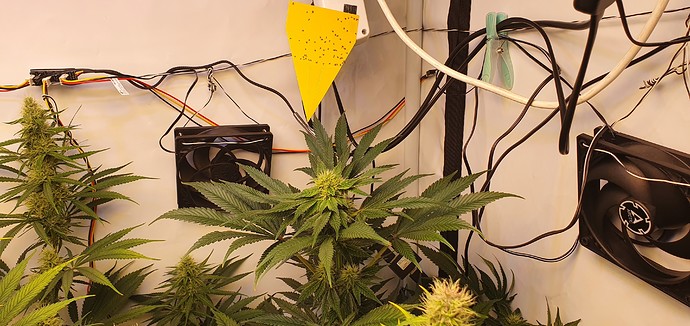 Growreport Bild 8