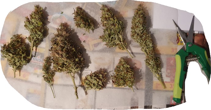 Growreport Bild 19