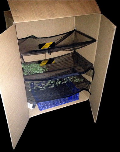 Growreport Bild 21