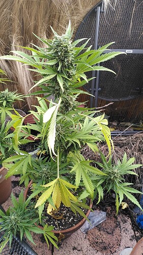 Growreport Bild 11