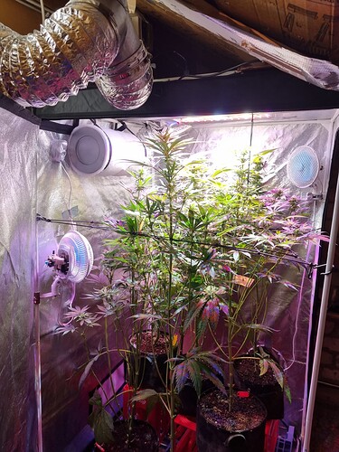 Growreport Bild 27