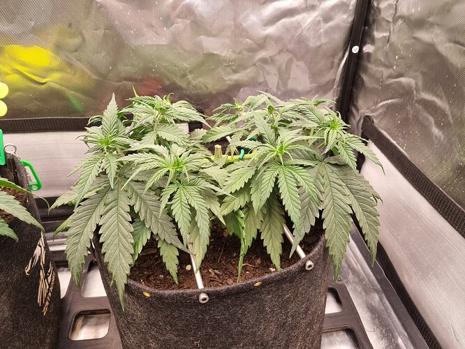 Growreport Bild 10