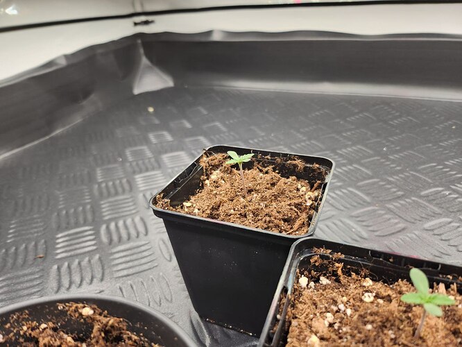 photo_2023-07-31_19-29-11