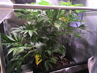 Growreport Bild 14