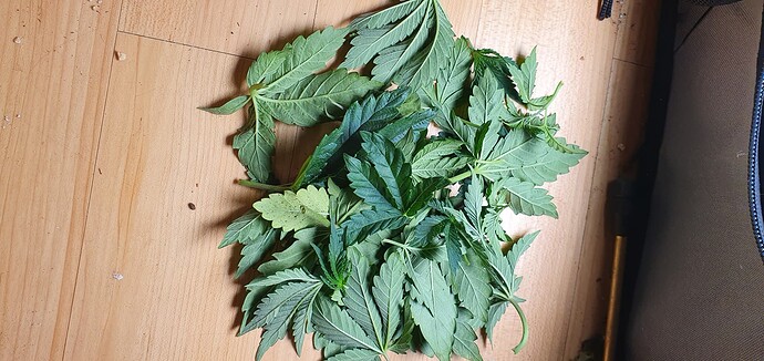 Growreport Bild 7
