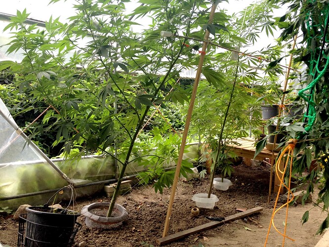 Growreport Bild 7